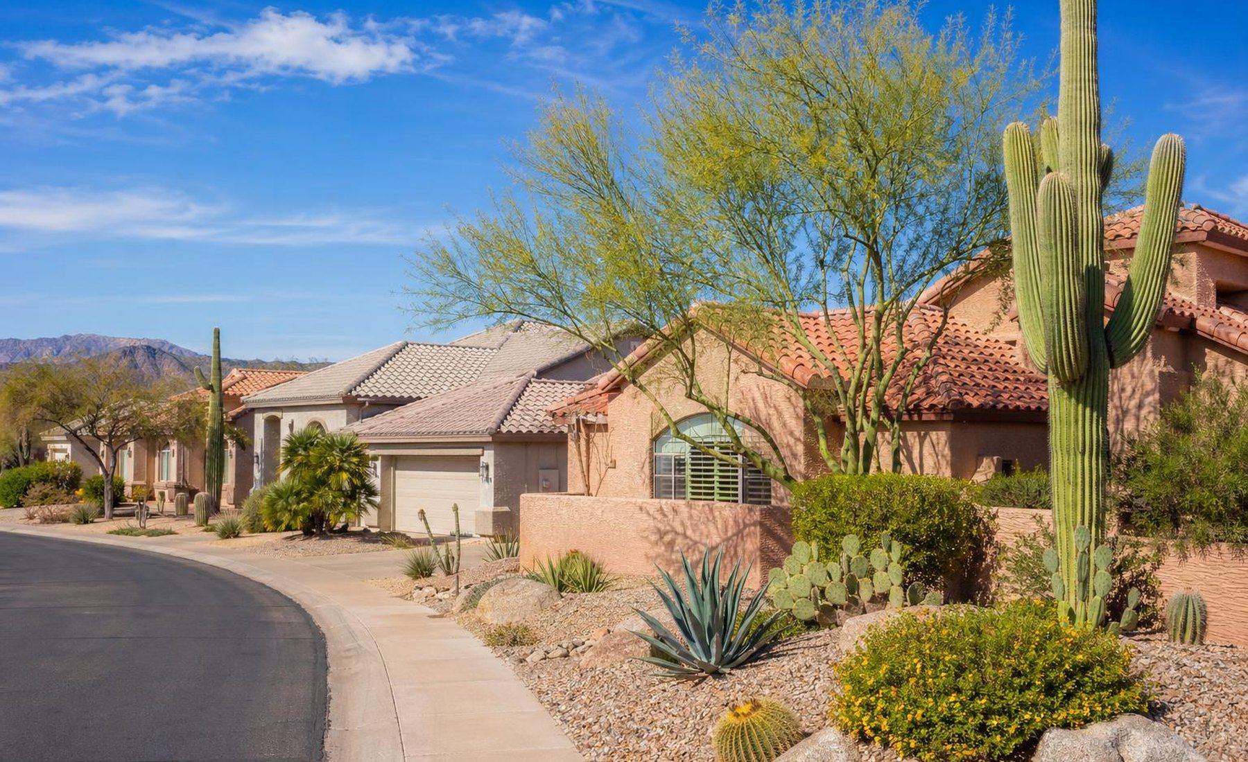 Desert-landscaped Arizona neighborhood with tile-roof homes
